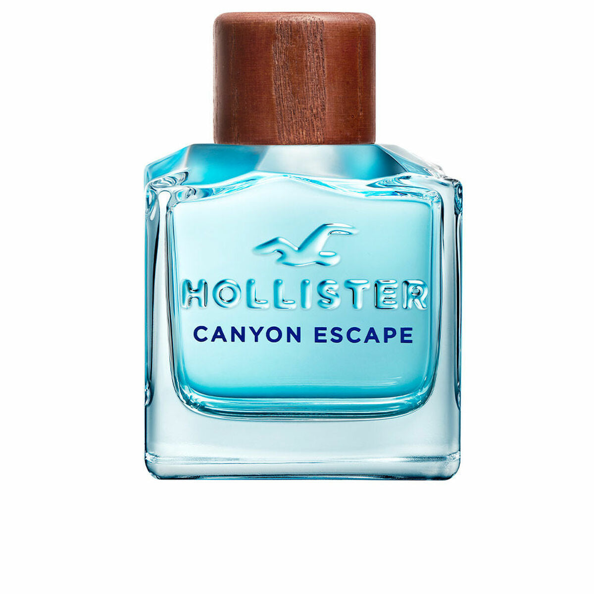 Men's Perfume Canyon Escape Hollister EDT - Horizon Bliss