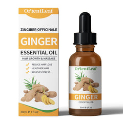 1.05 Ginger Essential Oil Pure Natural Plant Extraction Essential Oil