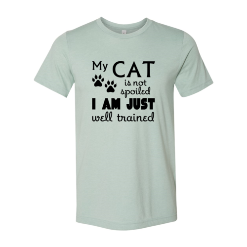 DT0175 My Cat Is Not Spoiled Shirt - Horizon Bliss