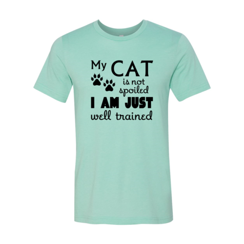 DT0175 My Cat Is Not Spoiled Shirt - Horizon Bliss