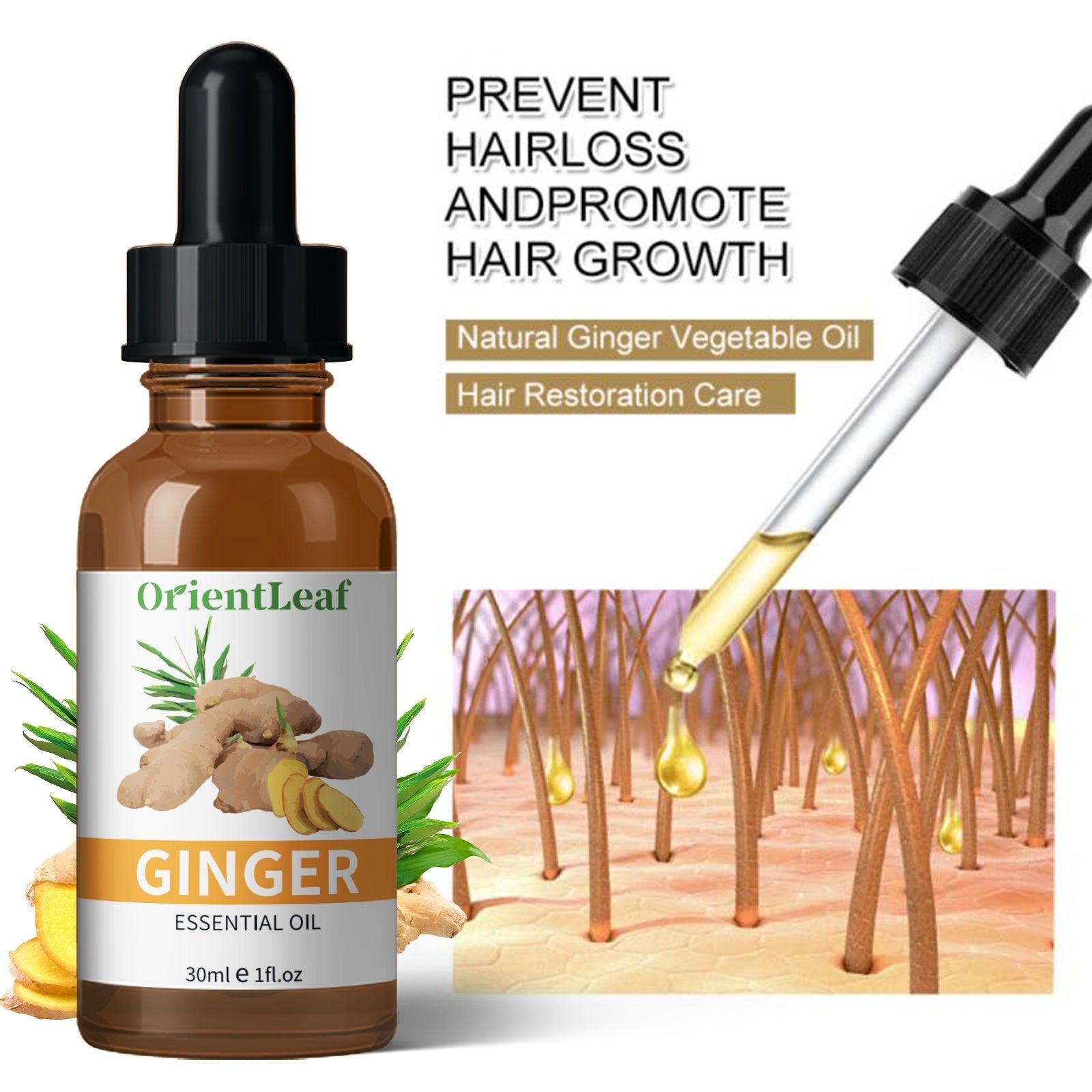 1.05 Ginger Essential Oil Pure Natural Plant Extraction Essential Oil