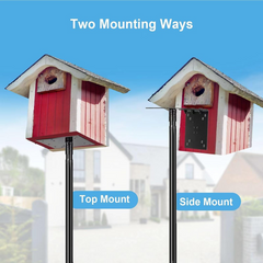 Bird House Pole, 1 Pack 109 Inch Heavy Duty Bird Feeder Pole Mount Kit with 5 Prongs Base for Outdoors, Adjustable Bird Feeder Stand for Wild Birds Watching (Bird House Not Included) - Horizon Bliss