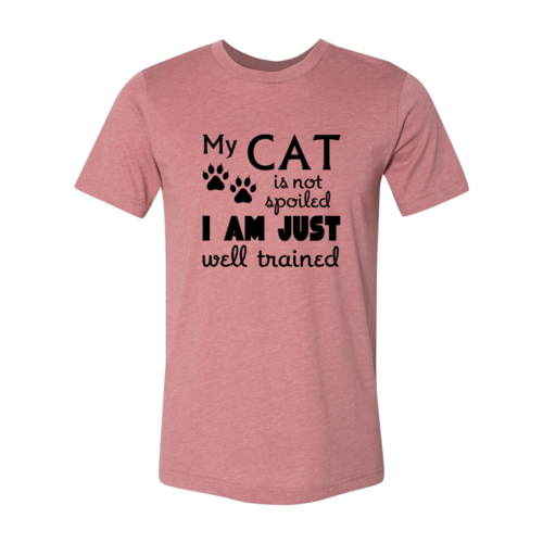 DT0175 My Cat Is Not Spoiled Shirt - Horizon Bliss