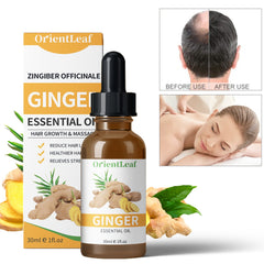 1.05 Ginger Essential Oil Pure Natural Plant Extraction Essential Oil