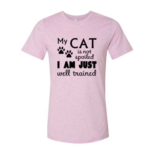 DT0175 My Cat Is Not Spoiled Shirt - Horizon Bliss