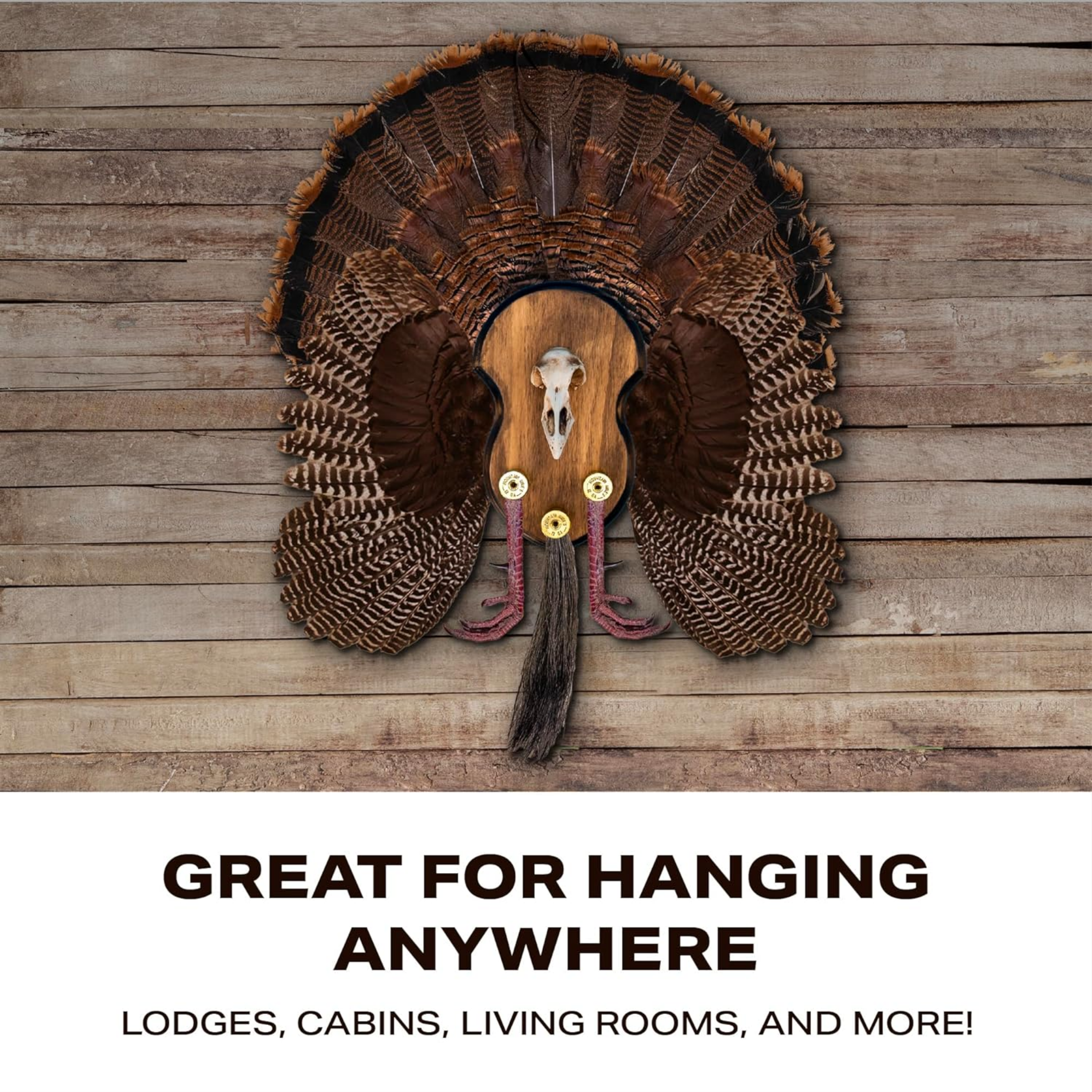 Ultimate Turkey Mounting Kit, Plaque, Beard, Fan, Universal (Model: MMR UTP) - Horizon Bliss