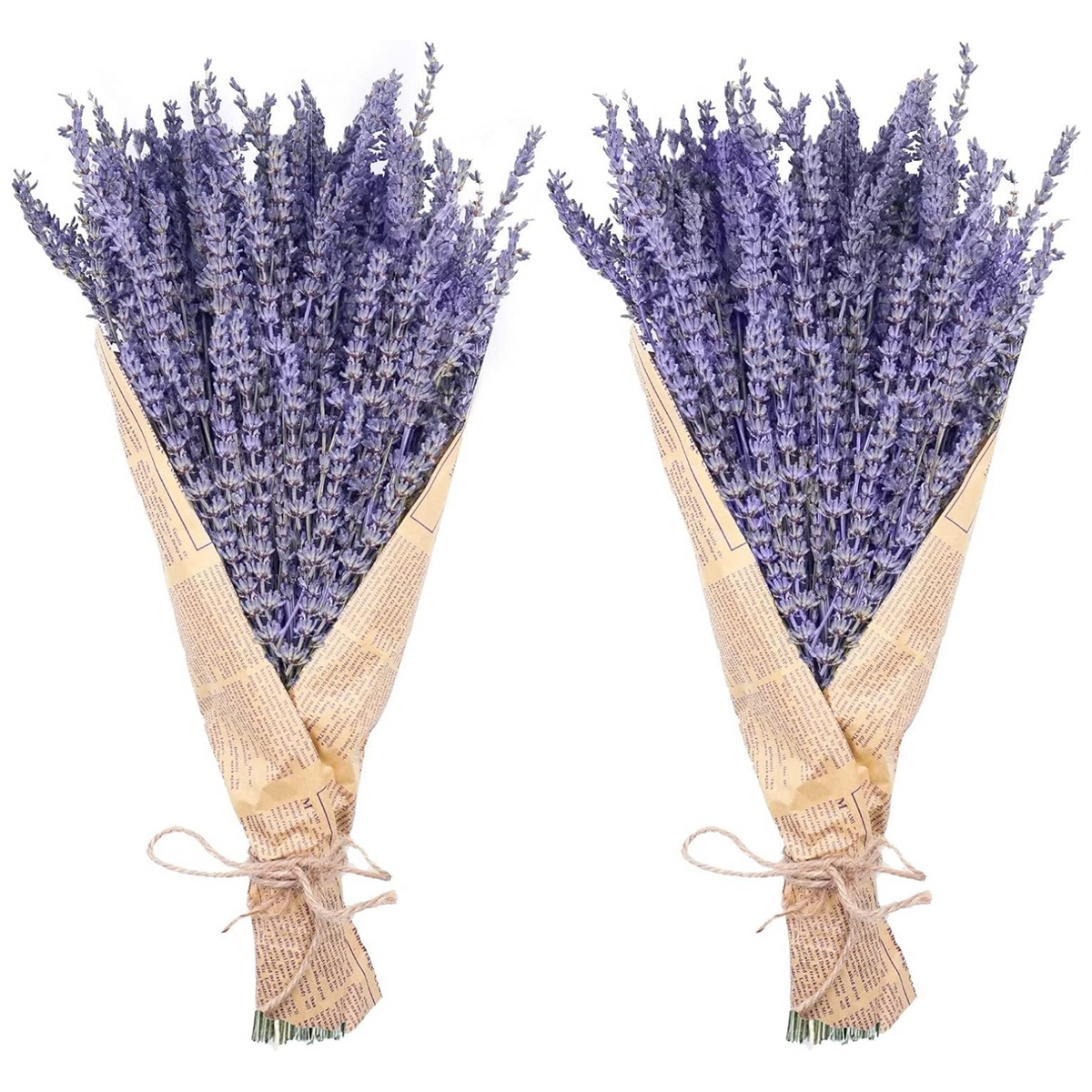 Dried Lavender Bundles, Uieke Natural Dried Lavender Flowers 280-300 Stems 16“ for Home Weeding Decoration Flower Arrangements Home Fragrance 2 Bundles - Horizon Bliss