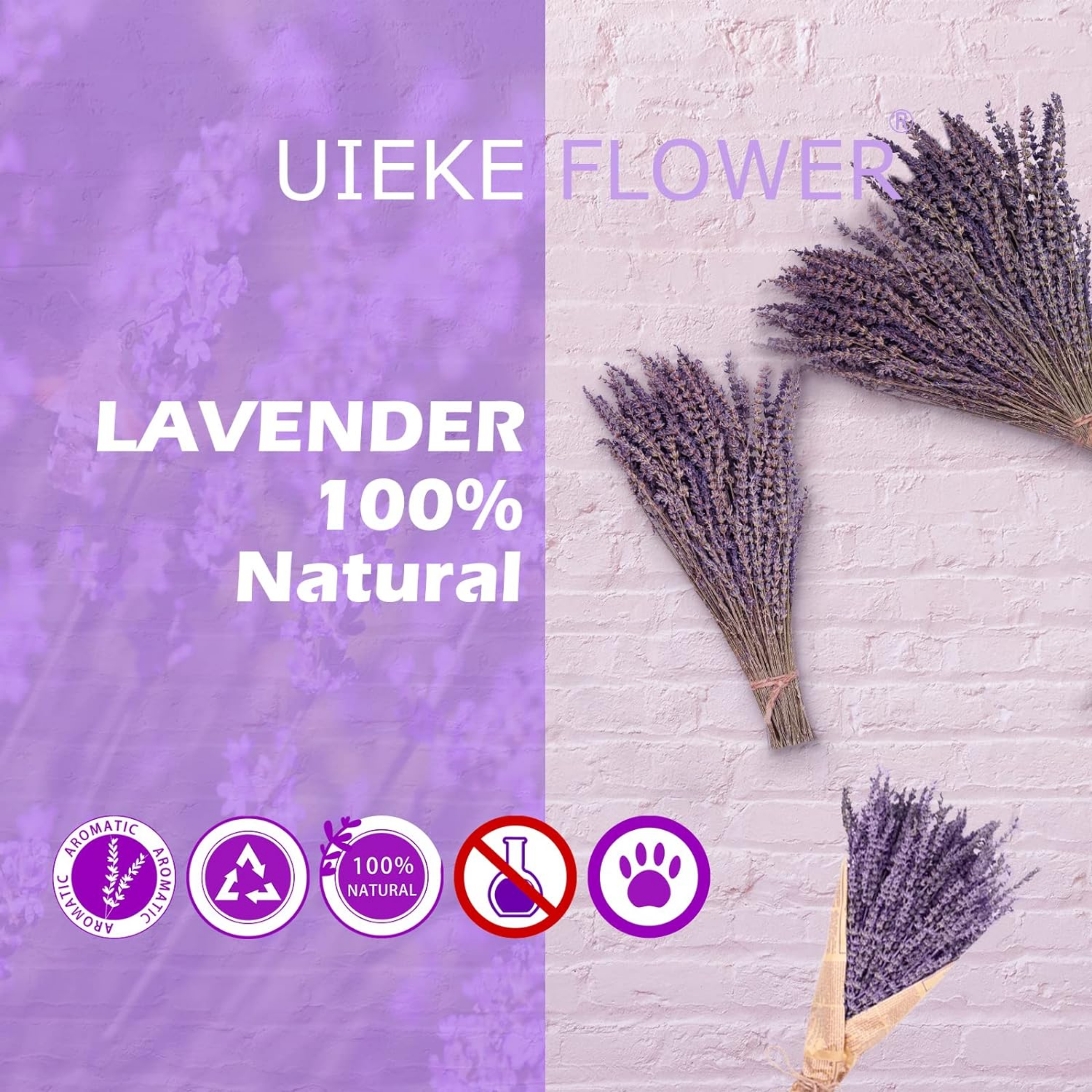 Dried Lavender Bundles, Uieke Natural Dried Lavender Flowers 280-300 Stems 16“ for Home Weeding Decoration Flower Arrangements Home Fragrance 2 Bundles - Horizon Bliss