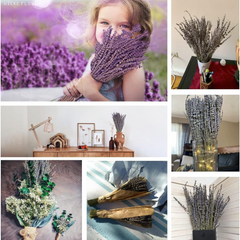 Dried Lavender Bundles, Uieke Natural Dried Lavender Flowers 280-300 Stems 16“ for Home Weeding Decoration Flower Arrangements Home Fragrance 2 Bundles - Horizon Bliss