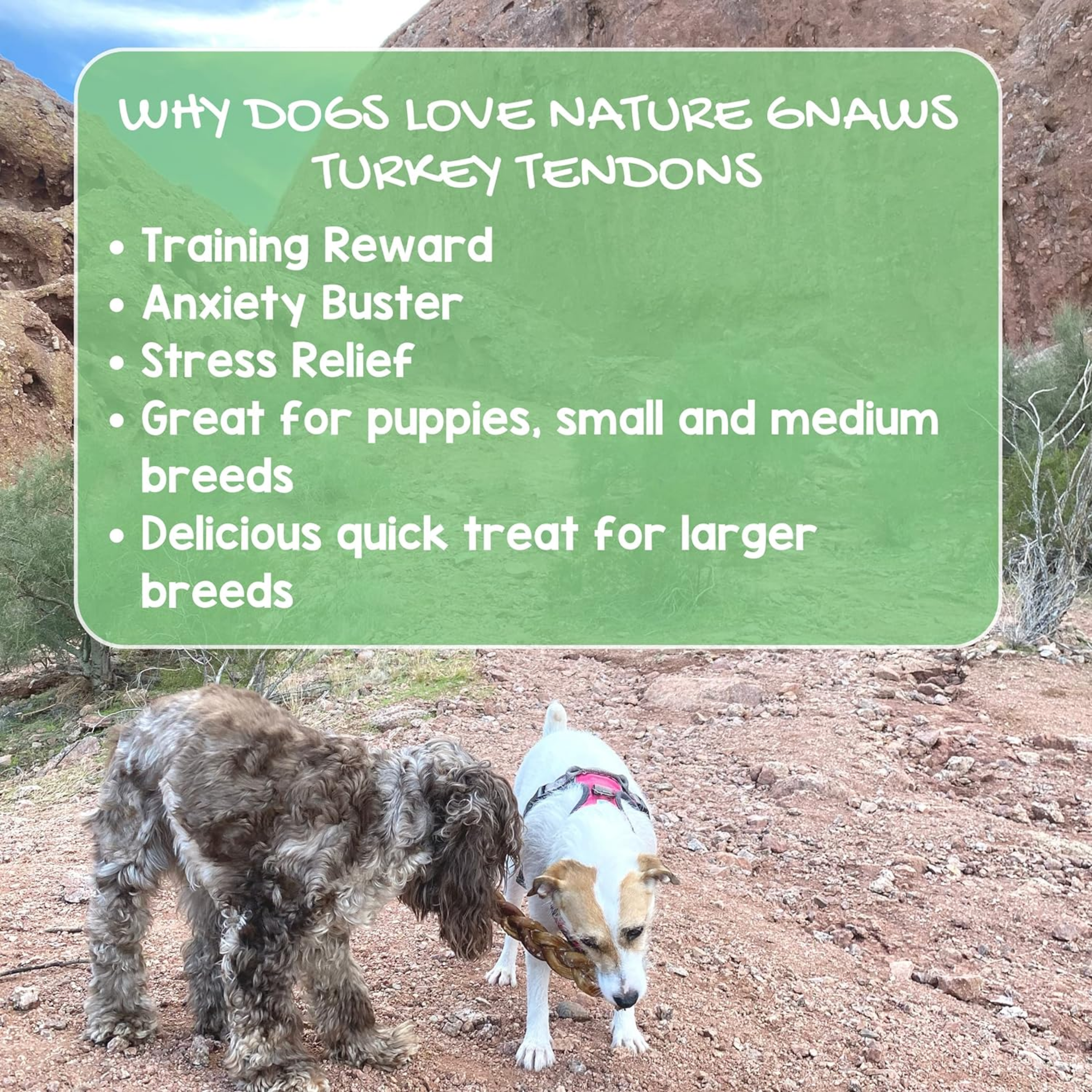 USA Turkey Tendons for Dogs - Premium Natural Chew Treats - Delicious Reward Snack for Small Medium & Large Dogs - Made in The USA 4 oz Bag