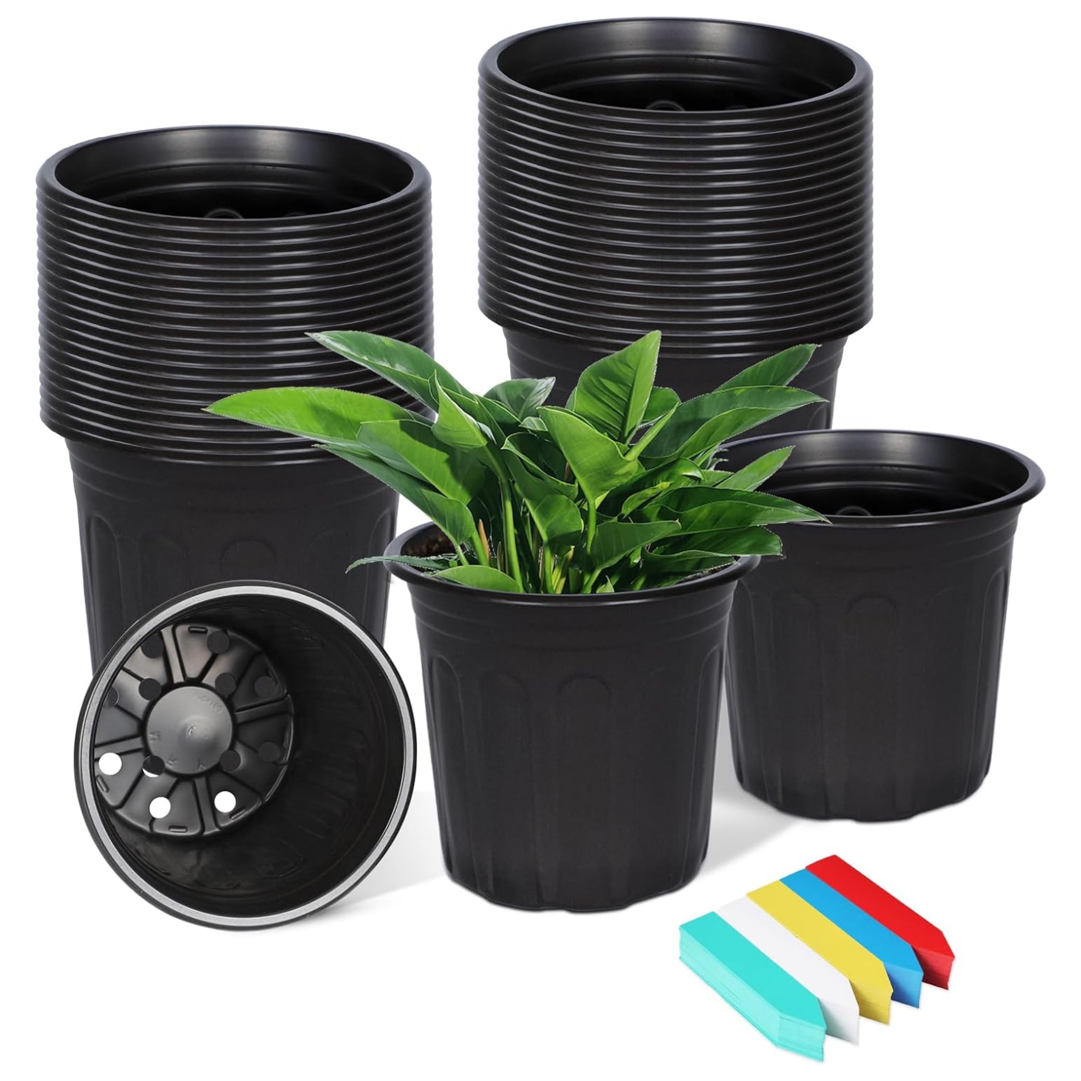 50-Pack 1 Gallon Flexible Plant Nursery Pots, Plastic Plant Pots with Drainage Holes, Plastic Flower Pots Seedling Pots with 100Pcs Plant Labels for Plants, Cuttings, Transplanting - Horizon Bliss