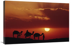 Global Gallery GCS-452939-2436-142 24 x 36 in. Dromedary Camels & Bedo - Horizon Bliss