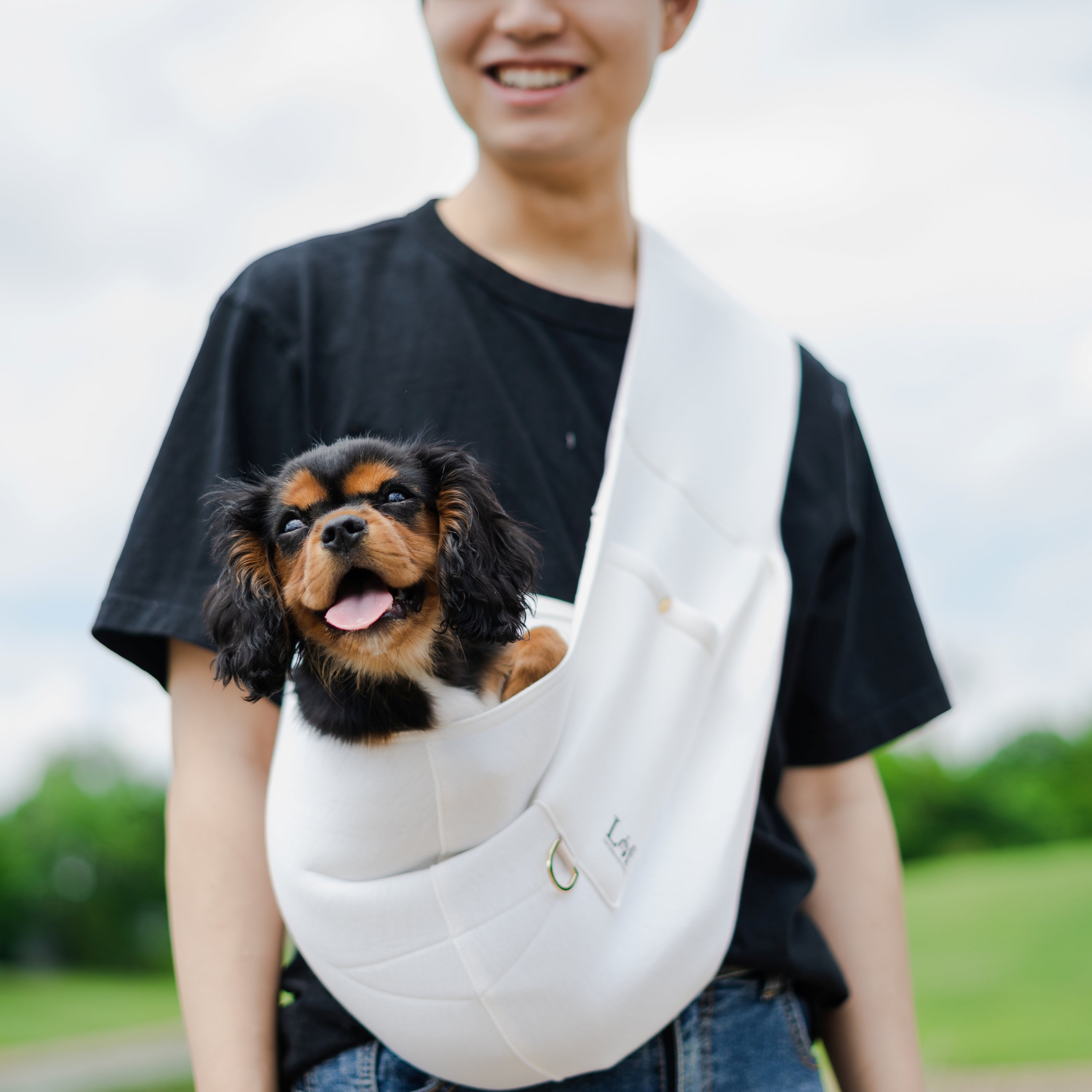 Lof Neoprene Pet Sling Carrier - Secure & Stylish Travel for Small