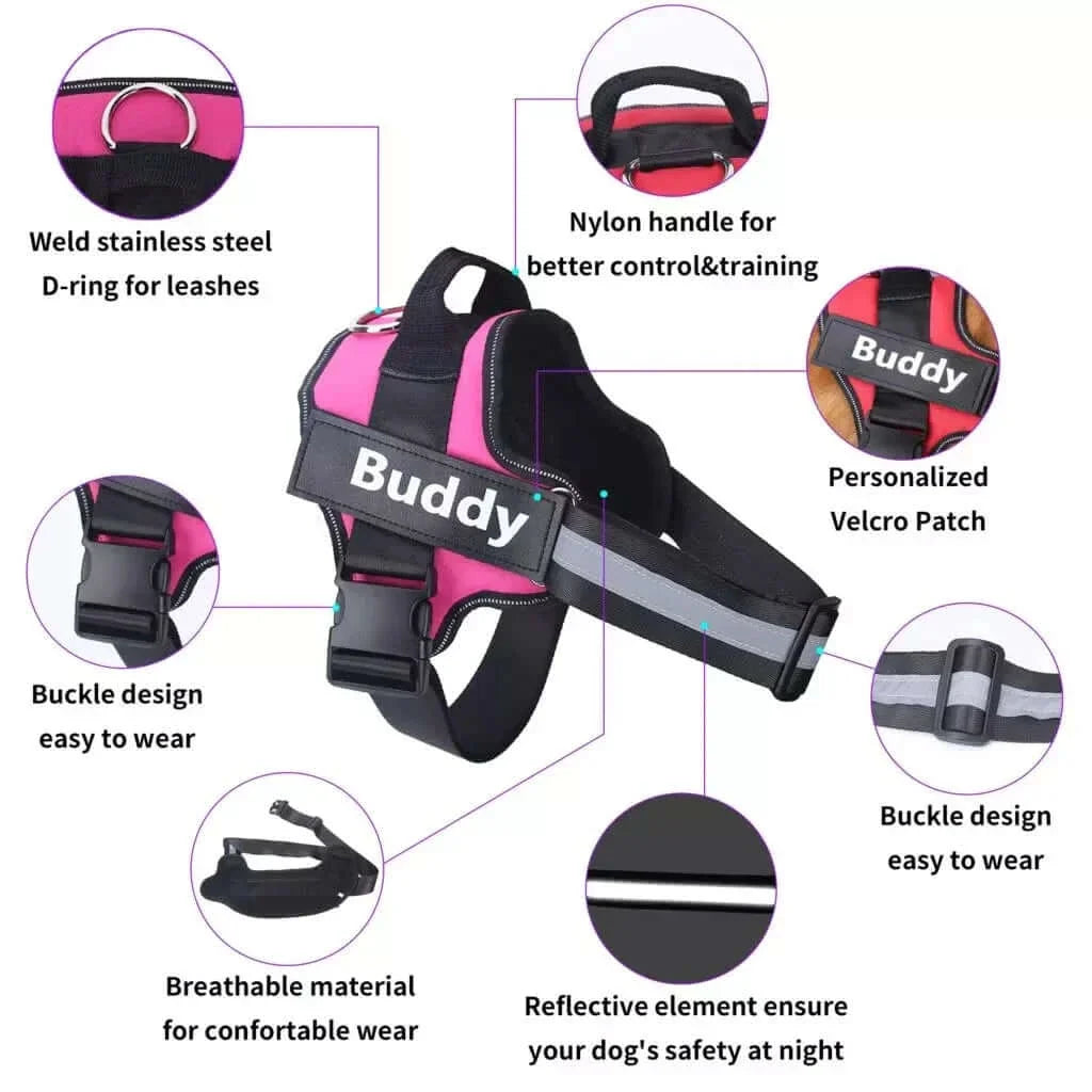 Personalized Reflective Breathable NO PULL Dog Harness - Horizon Bliss