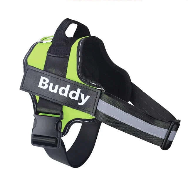 Personalized Reflective Breathable NO PULL Dog Harness - Horizon Bliss