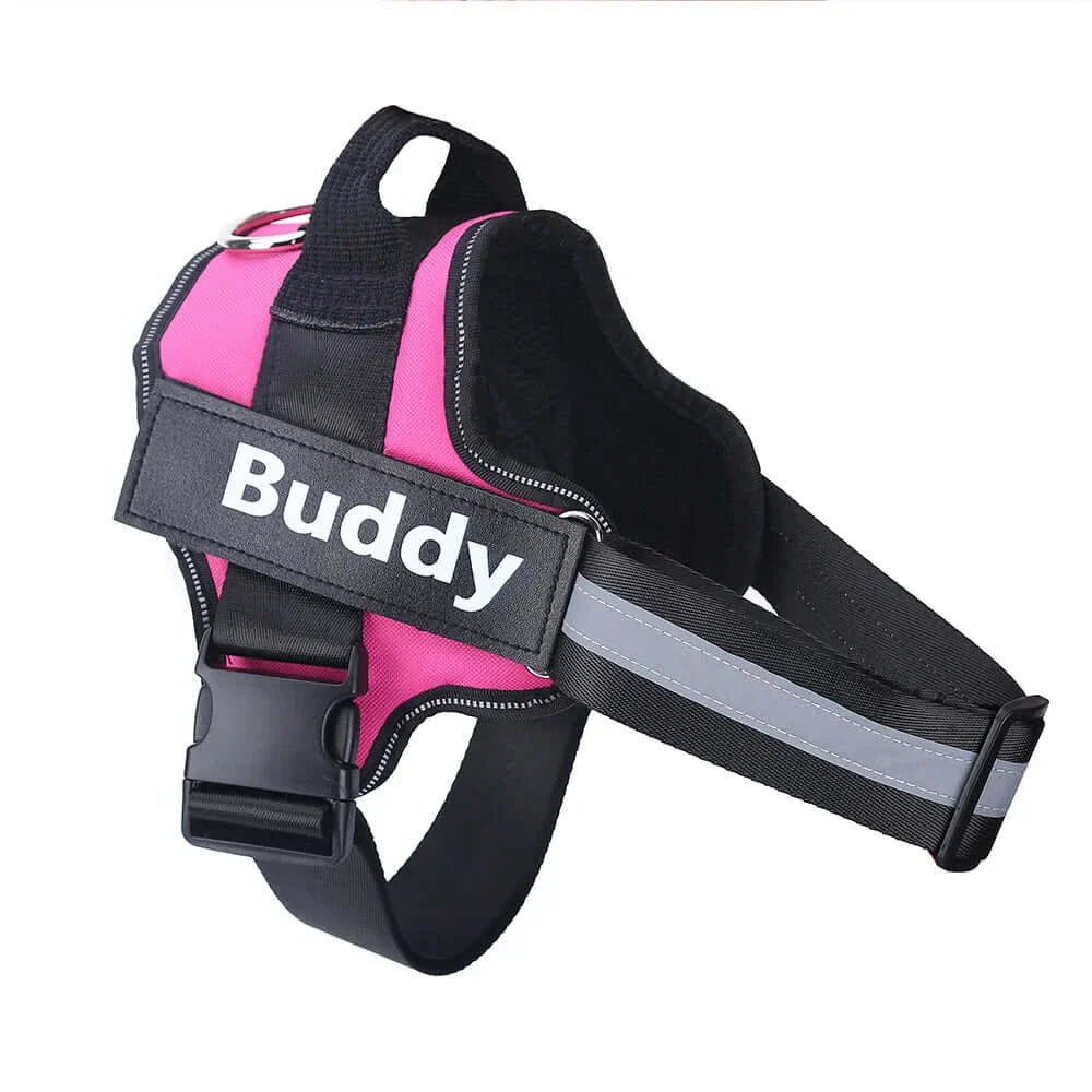 Personalized Reflective Breathable NO PULL Dog Harness - Horizon Bliss