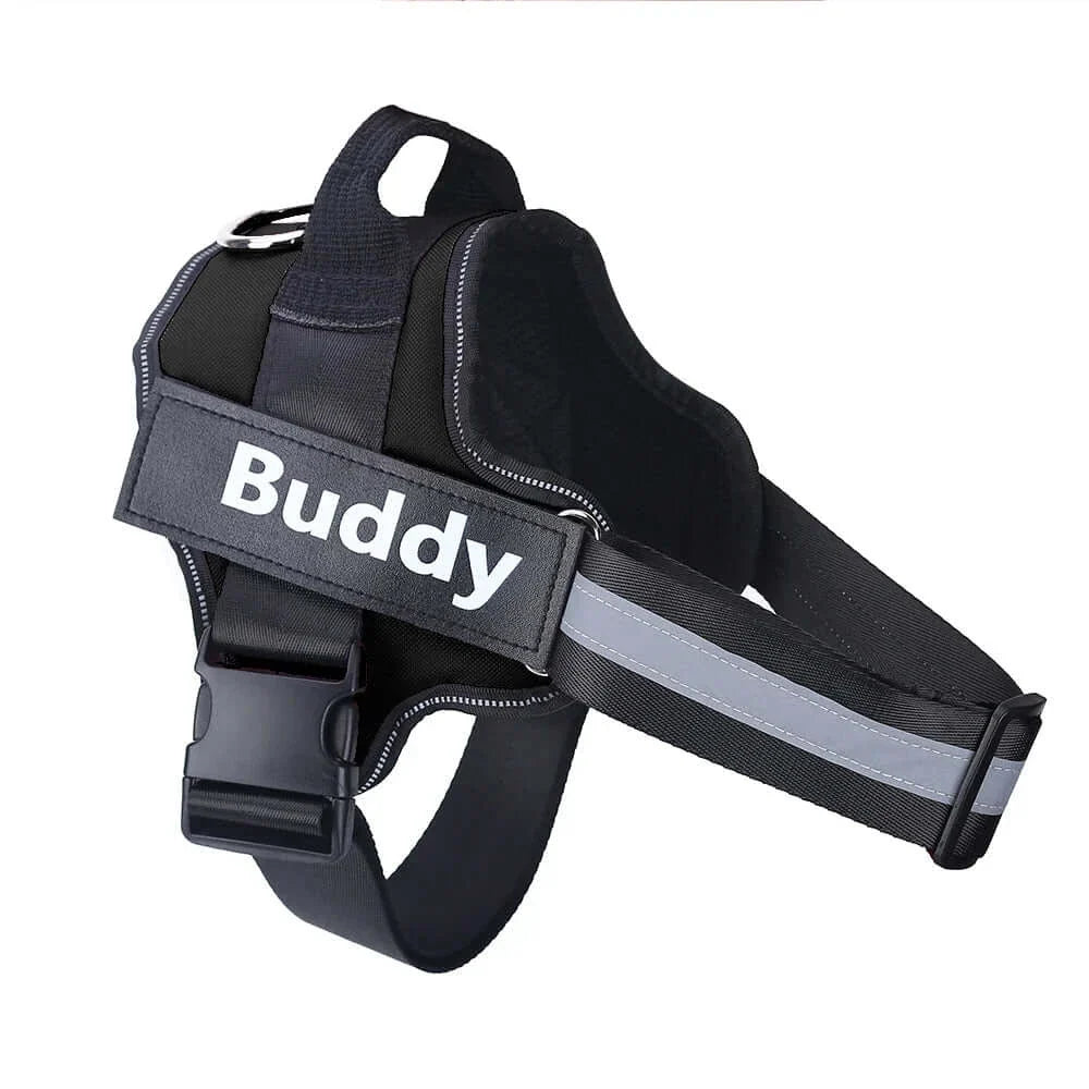 Personalized Reflective Breathable NO PULL Dog Harness - Horizon Bliss