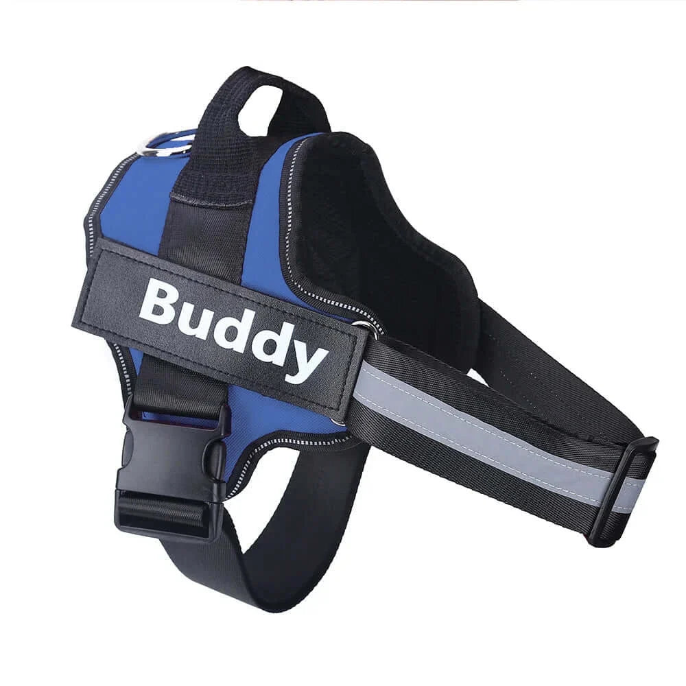 Personalized Reflective Breathable NO PULL Dog Harness - Horizon Bliss