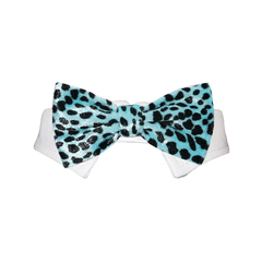 Roberto Bow Tie - Aqua