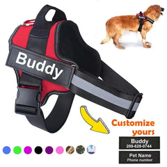 Personalized Reflective Breathable NO PULL Dog Harness - Horizon Bliss