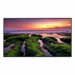 Monitor Videowall Samsung QB55B UHD 55" - Horizon Bliss