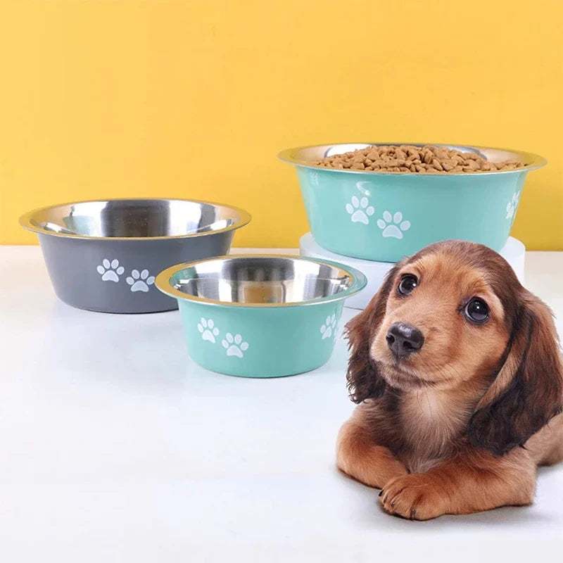 Sirus Stainless Steel Dog Bowl - Horizon Bliss