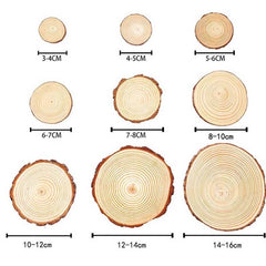 DIY Crafts Natural Pine Wood Slices