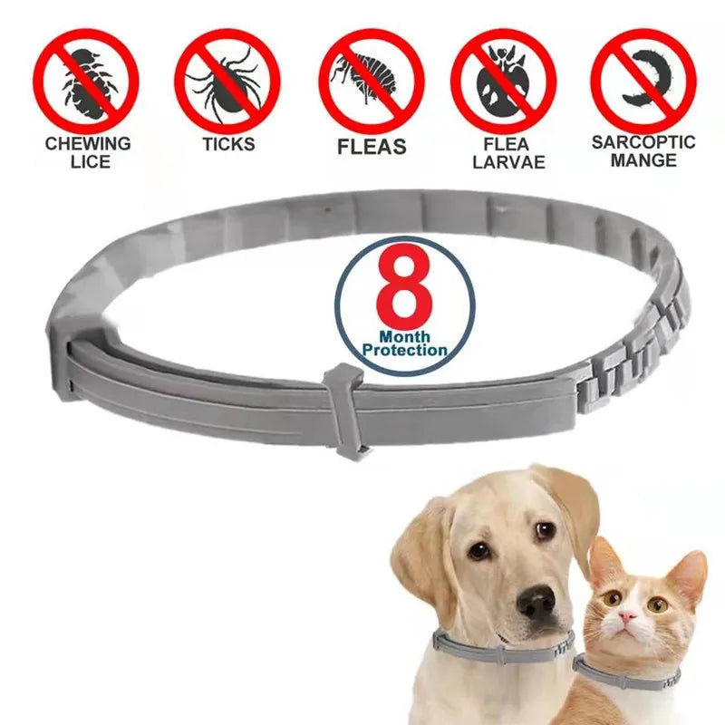 Dog Anti Flea And Tick Collars,Pet 8Month Protection Adjustable Collar For Large Dog Puppy Cat, Dogs Accessories   Free Shipping - Horizon Bliss