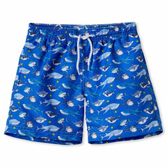 Board Shorts With Sharks Royal Blue - Horizon Bliss