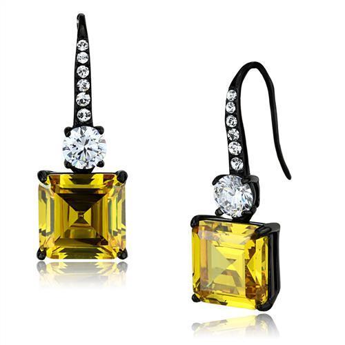 Women Stainless Steel Cubic Zirconia Earrings