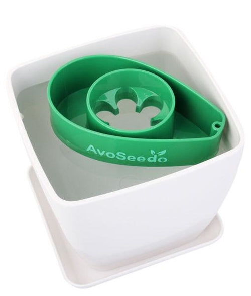 AvoSeedo Plant Pot Set