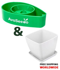 AvoSeedo Plant Pot Set