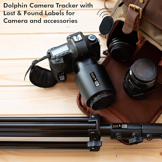 Dolphin Camera Gear - Horizon Bliss