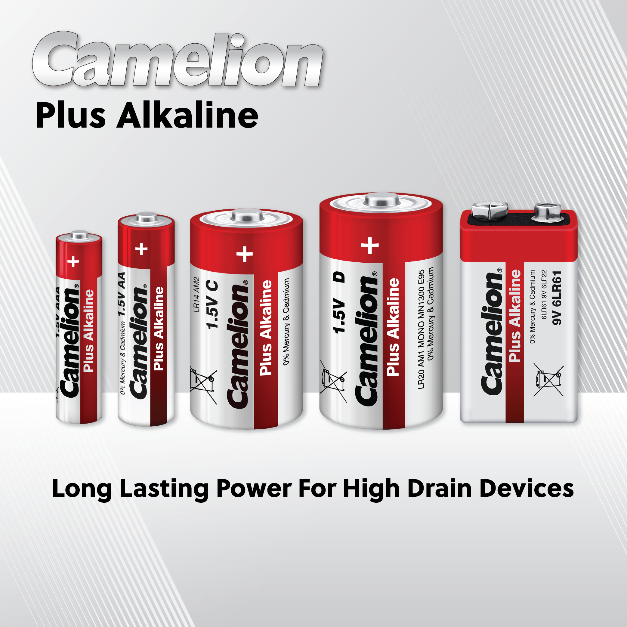 Camelion C Alkaline Plus Blister Pack of 2