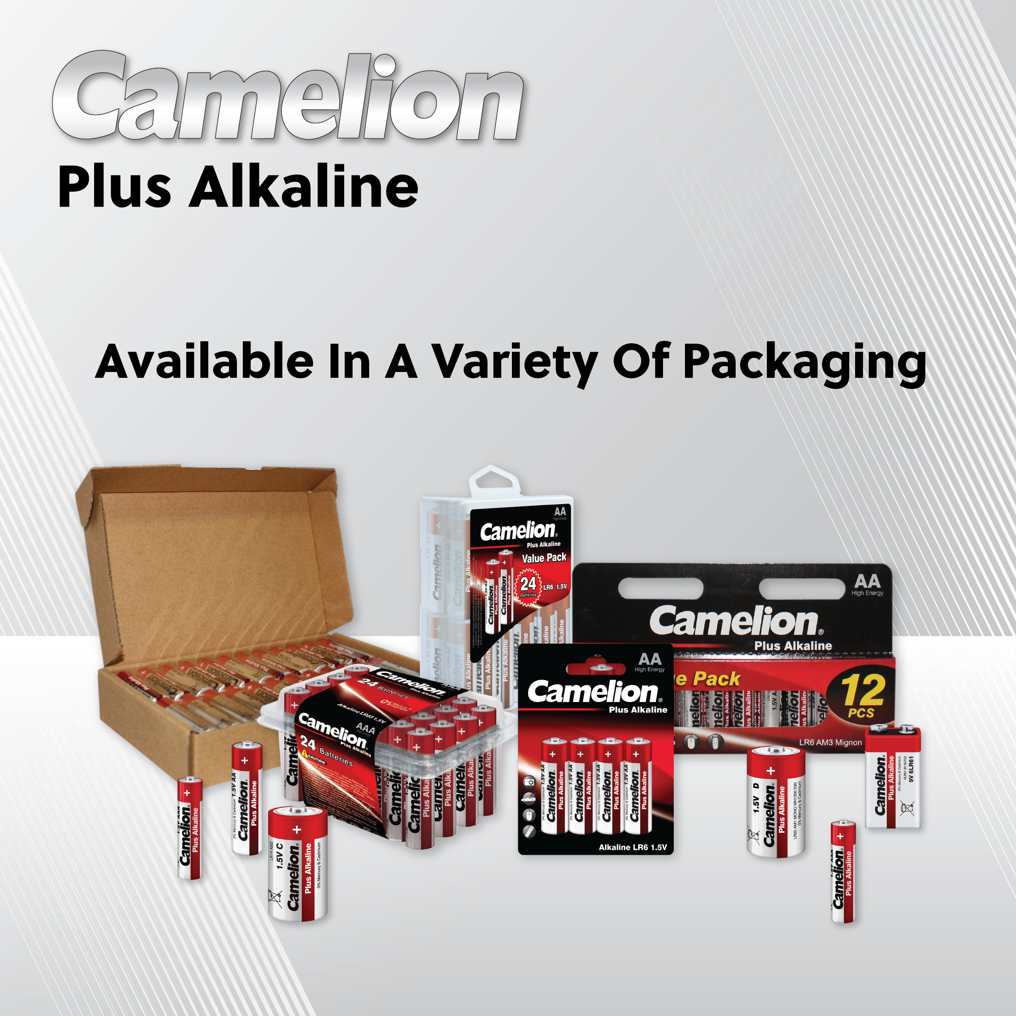 Camelion C Alkaline Plus Plastic Tub of 4