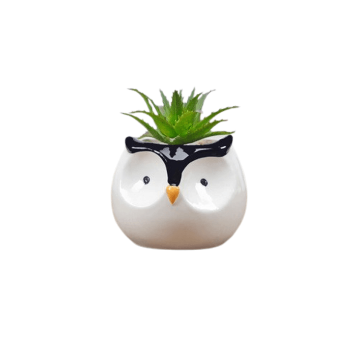 Cute Penguin Succulent Planter