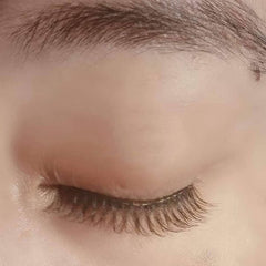 MLEN Soft Magnetic Eyelash Extensions - Taiwanese Camellia Style - Horizon Bliss