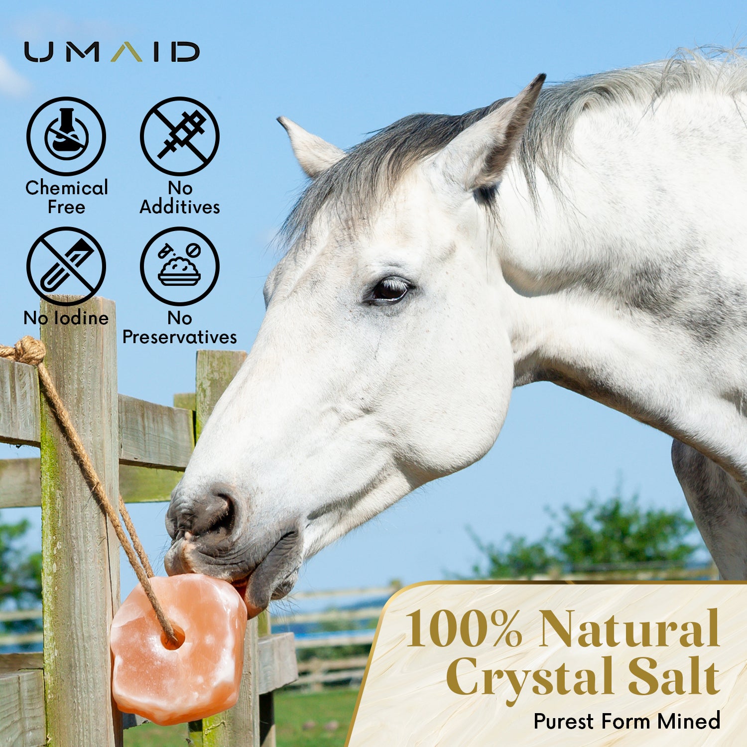 Himalayan Animal Lick Salt On Rope for Horses, Deer, and Livestock