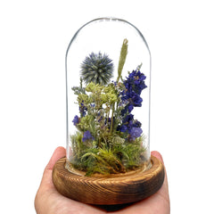 The Little Earth and Sky Dried Flower Terrarium - Horizon Bliss