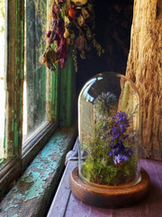 The Little Earth and Sky Dried Flower Terrarium - Horizon Bliss