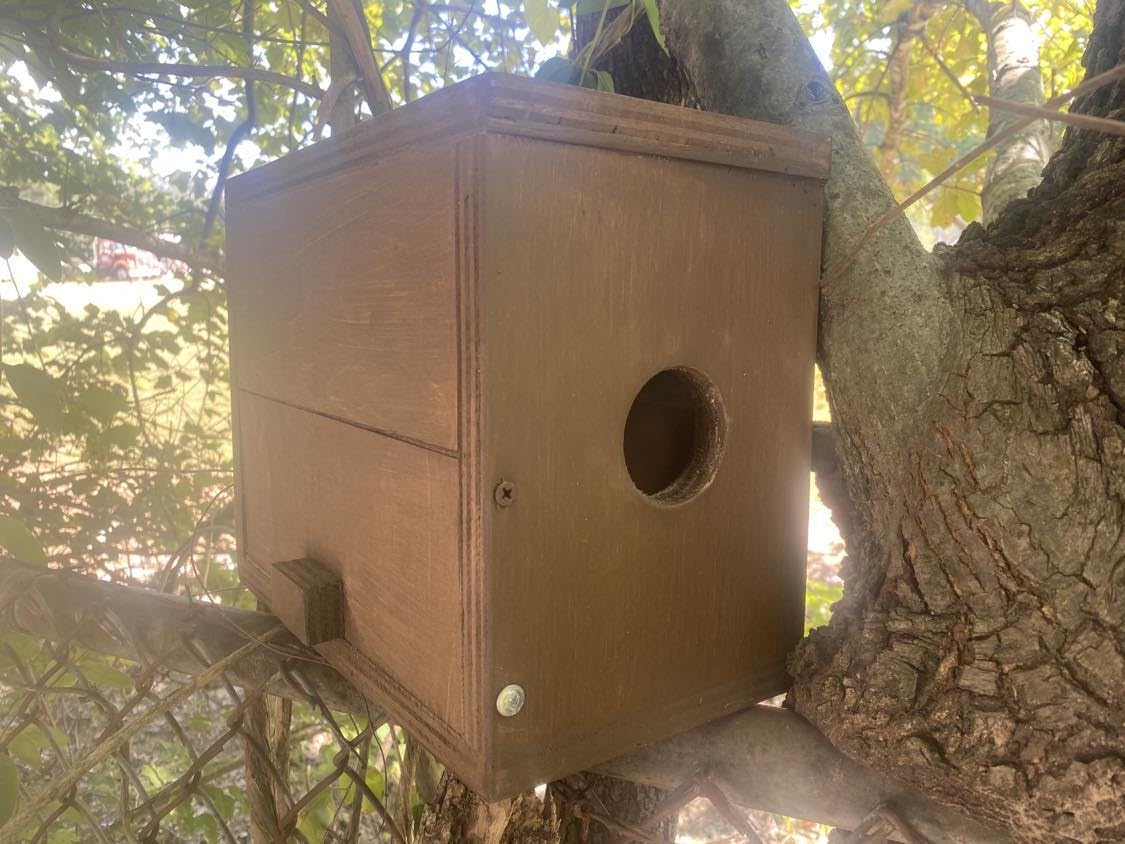 Squirrel House - Handmade Wood Chipmunk Nesting Box To Gather Nuts