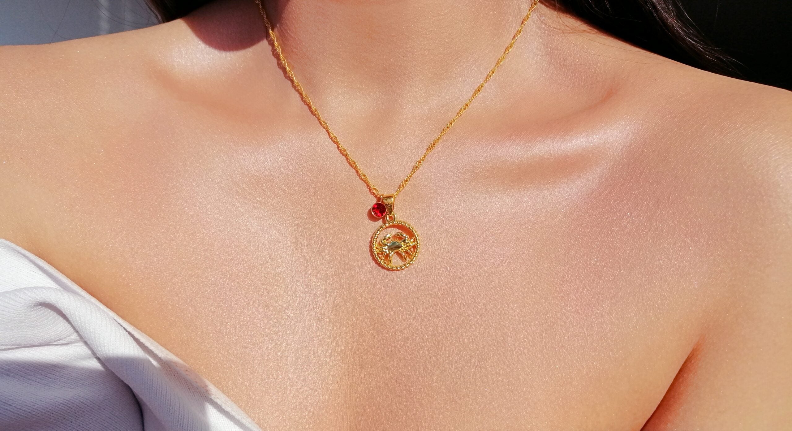 18K Zodiac Sign and Birthstone Necklace - Horizon Bliss