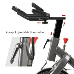 Indoor Cycling Bike 4-Way Adjustable Handlebar & Seat LCD Monitor - Horizon Bliss