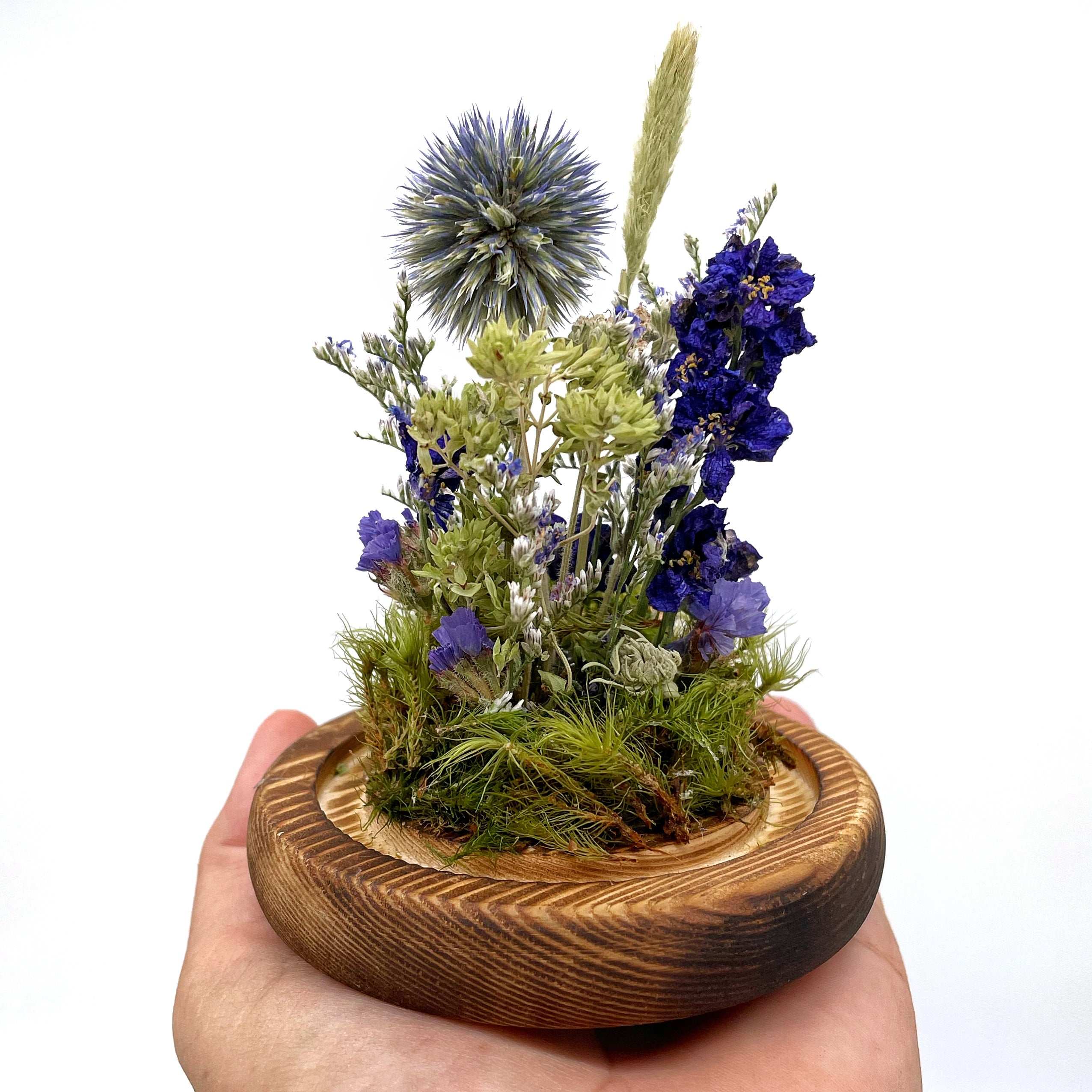 The Little Earth and Sky Dried Flower Terrarium - Horizon Bliss