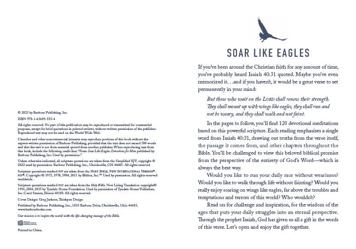 Soar Like Eagles : Devotions for Men - Horizon Bliss