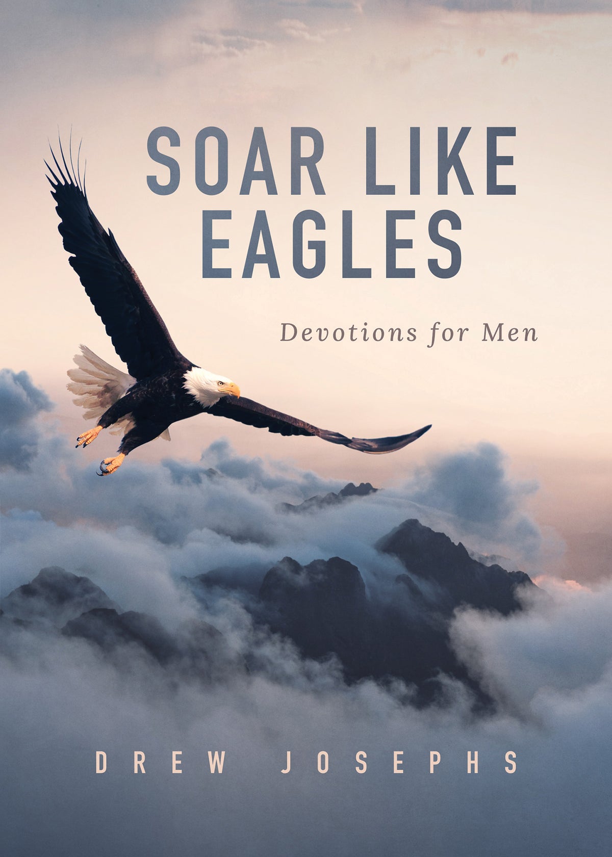 Soar Like Eagles : Devotions for Men - Horizon Bliss