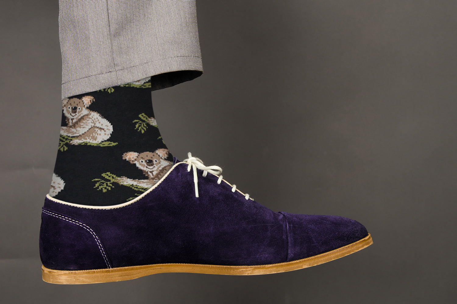 Sick Socks – Koala – Exotic Animals Casual Dress Socks - Horizon Bliss