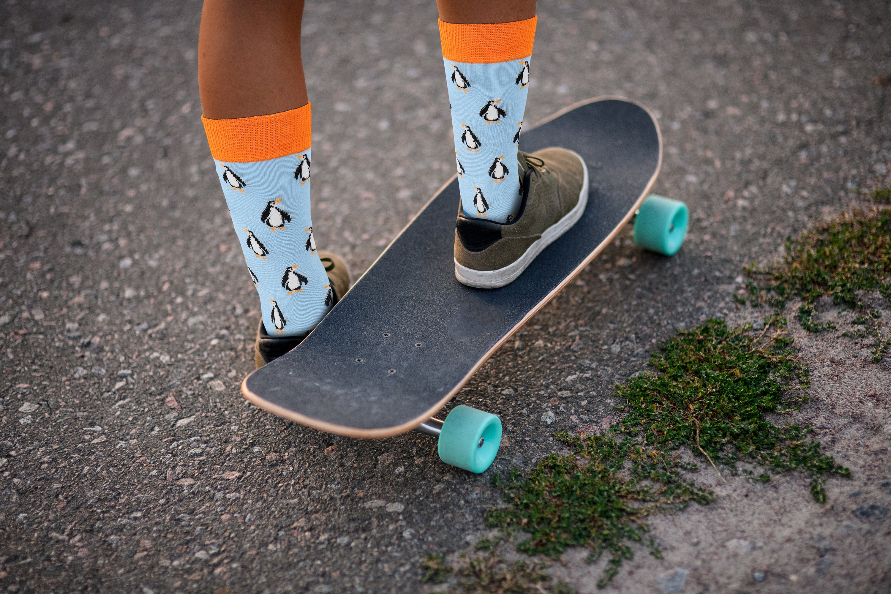 Sick Socks - Penguin - Exotic Animals Casual Dress Socks - Horizon Bliss