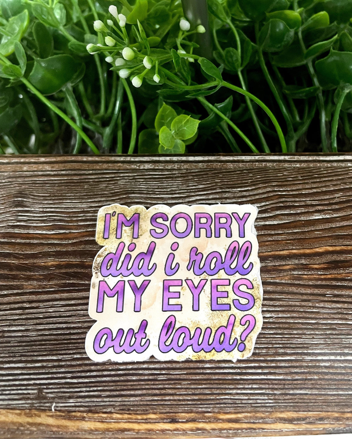 I'm Sorry Did I Roll My Eyes Out Loud, Snarky Sarcasm Quote, Die Cut