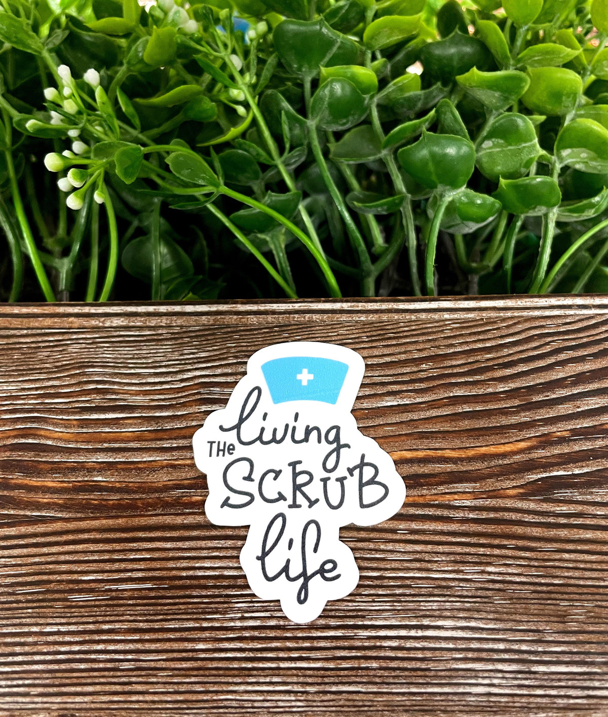 Living the Scrub Life, Nursing Die Cut Sticker, Graphic Art Vinyl, ,